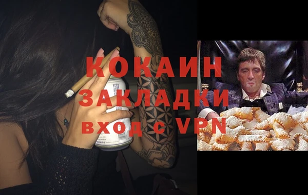 ГАЛЛЮЦИНОГЕННЫЕ ГРИБЫ Абаза
